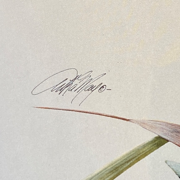 Art La May 3x framed prints with glass: Water Pair, Green Winged, Canvas Back. - Picture 4 of 16